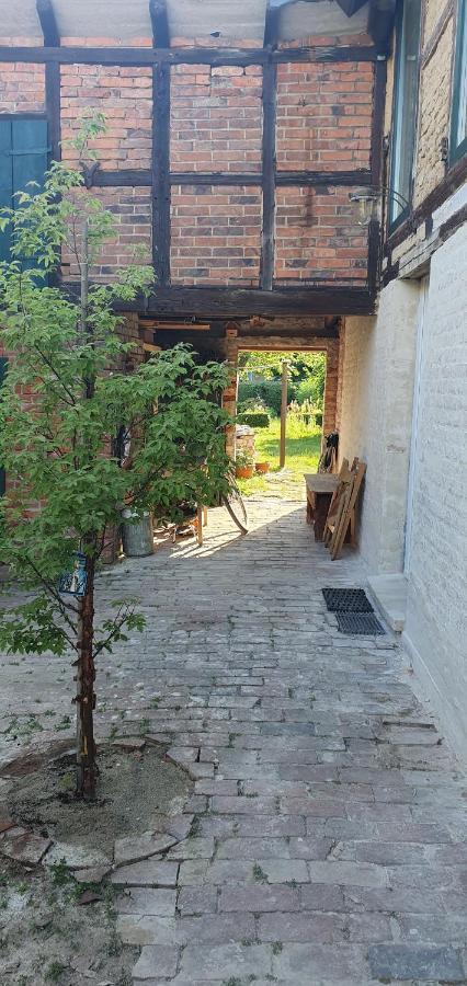Gartenhaus Schlanstedt Huy Buitenkant foto