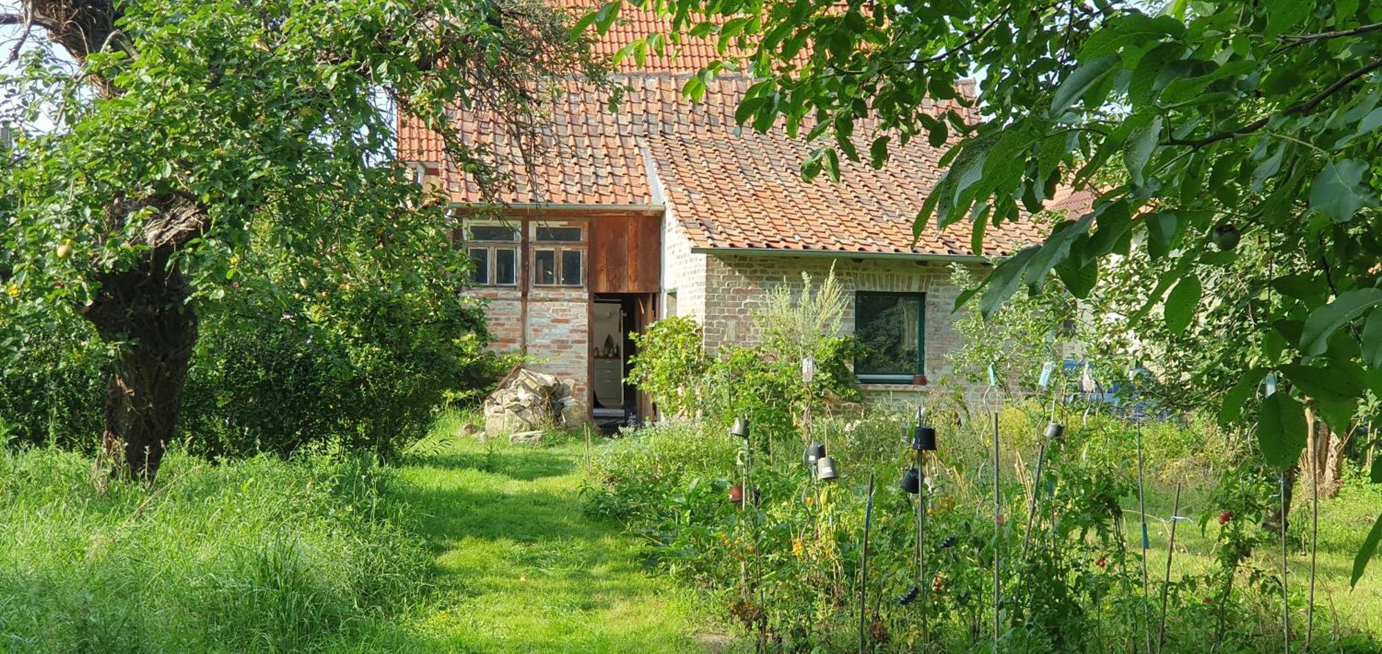 Gartenhaus Schlanstedt Huy Buitenkant foto